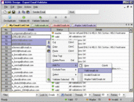 Expert Email Validator screenshot